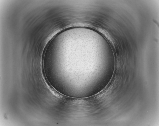 X0000098091237200804181227