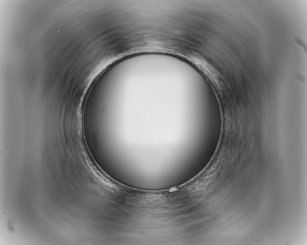 X0000098091238200804181227