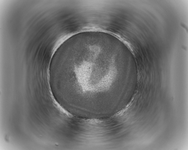 X0000098091239200804181227
