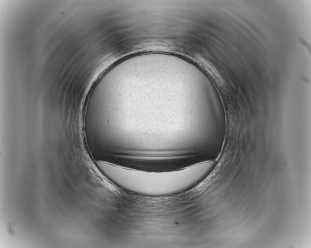 X0000098091240200804181227