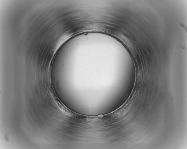 X0000098091242200804181227