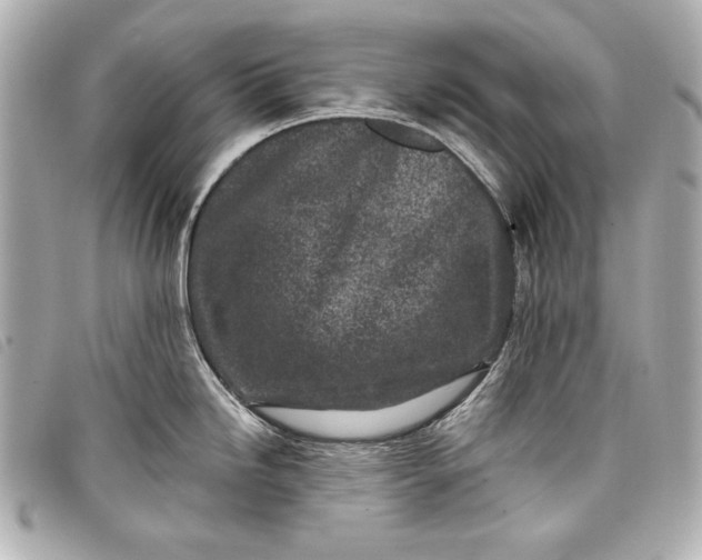 X0000098091246200804181227