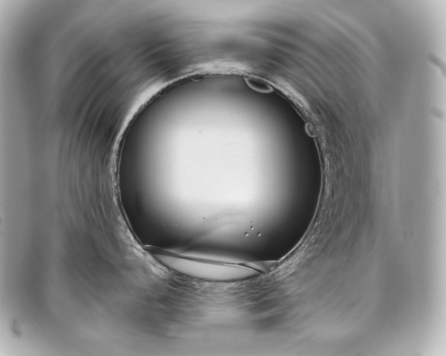 X0000098091248200804181227