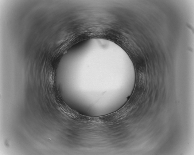 X0000098091250200804181226