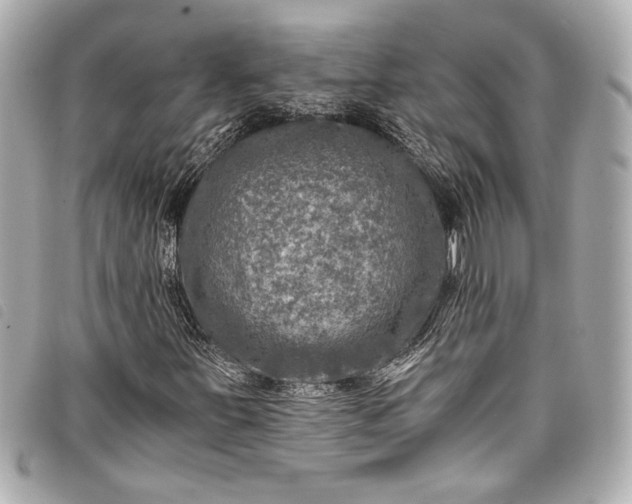 X0000098091251200804181226