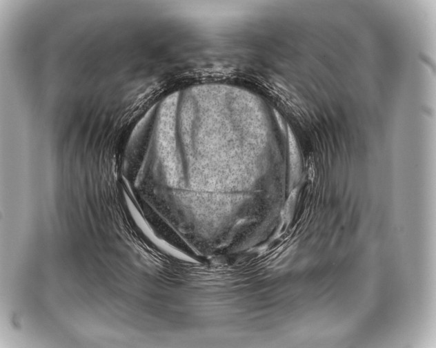 X0000098091252200804181226