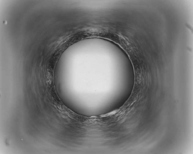 X0000098091253200804181226