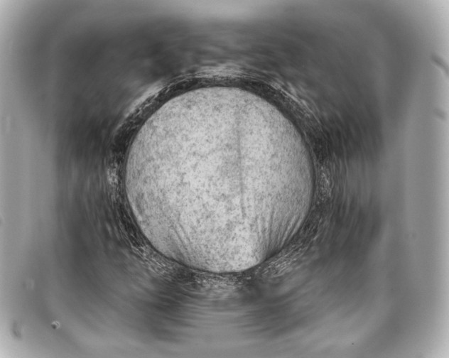 X0000098091254200804181226