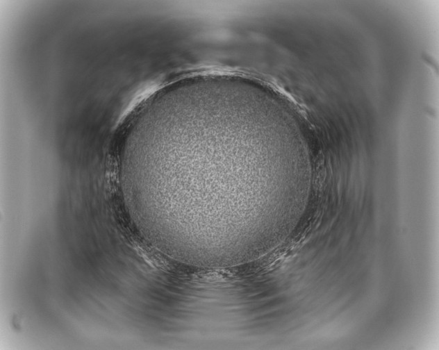 X0000098091255200804181226