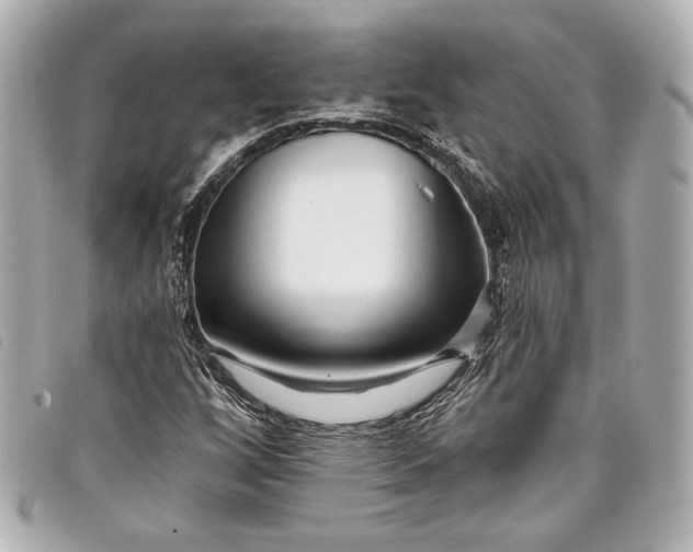 X0000098091256200804181226