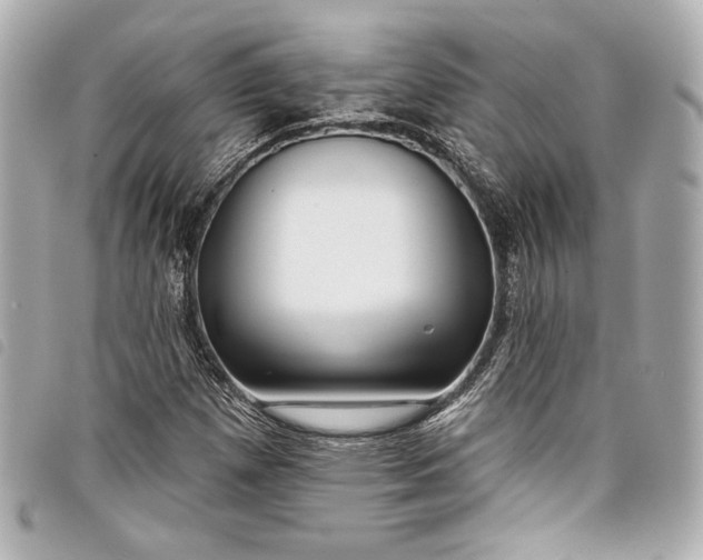 X0000098091257200804181226
