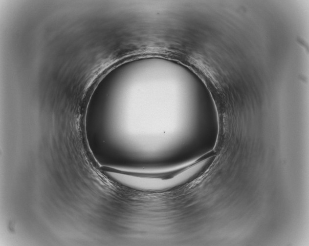 X0000098091260200804181226