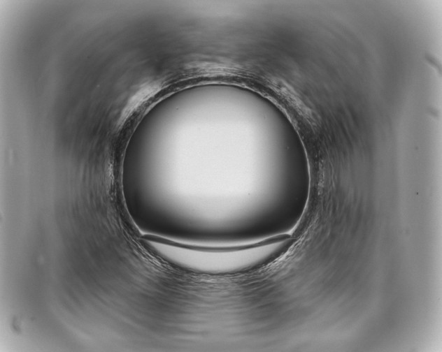 X0000098091261200804181226