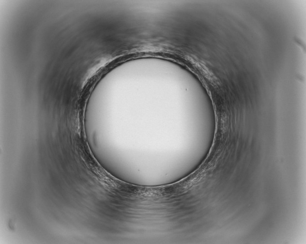 X0000098091262200804181226