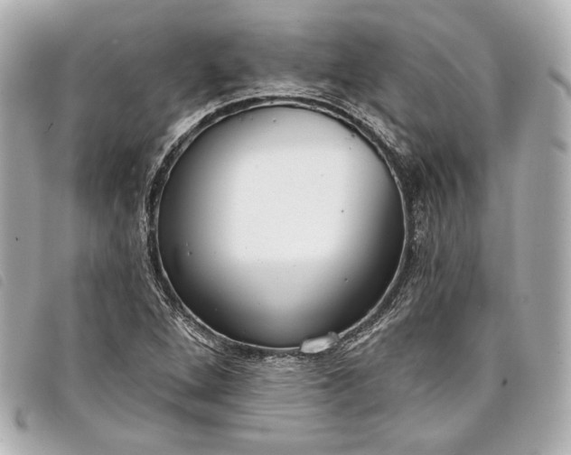 X0000098091264200804181226