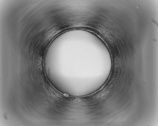 X0000098091265200804181226