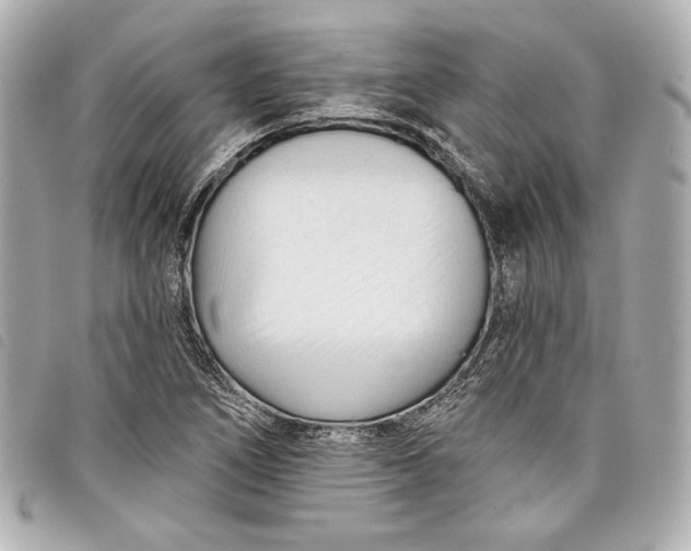 X0000098091266200804181226