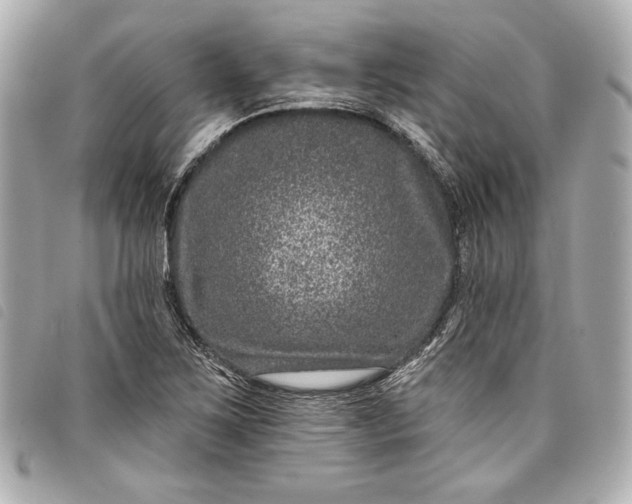 X0000098091267200804181226