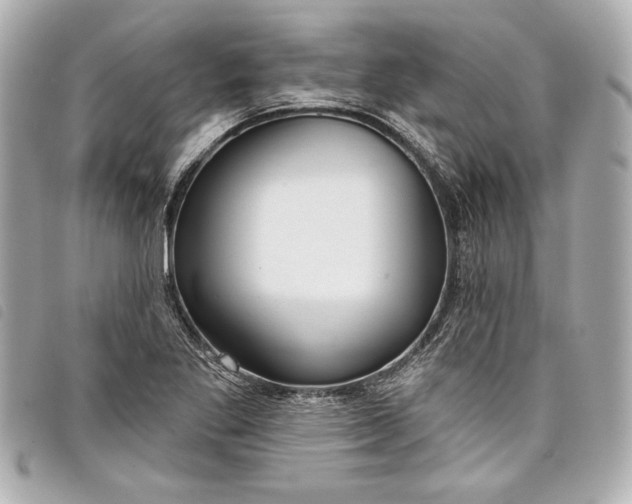 X0000098091269200804181226