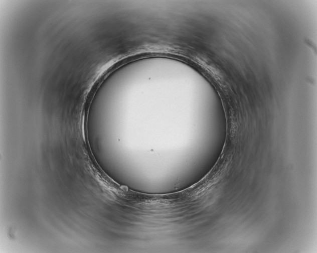 X0000098091272200804181226
