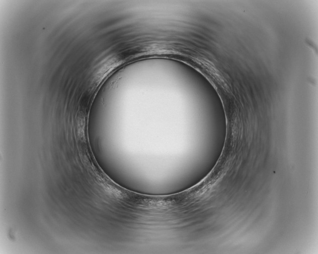 X0000098091273200804181226