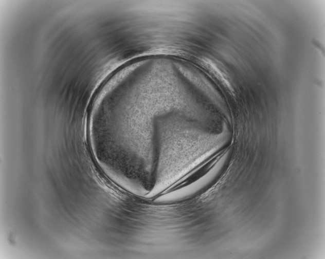 X0000098091276200804181226
