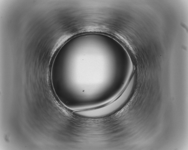 X0000098091277200804181225