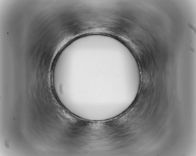 X0000098091278200804181225
