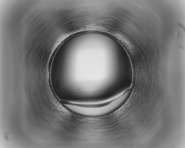 X0000098091280200804181225