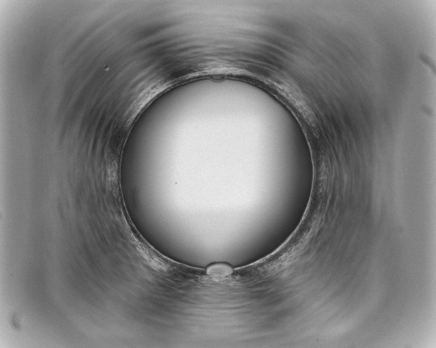 X0000098091281200804181225