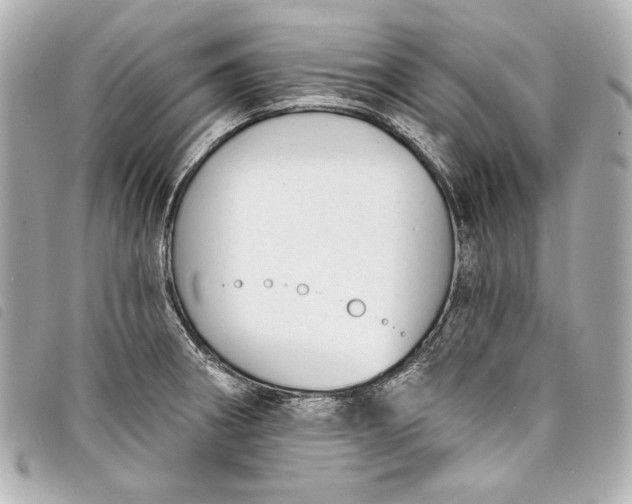 X0000098091282200804181225