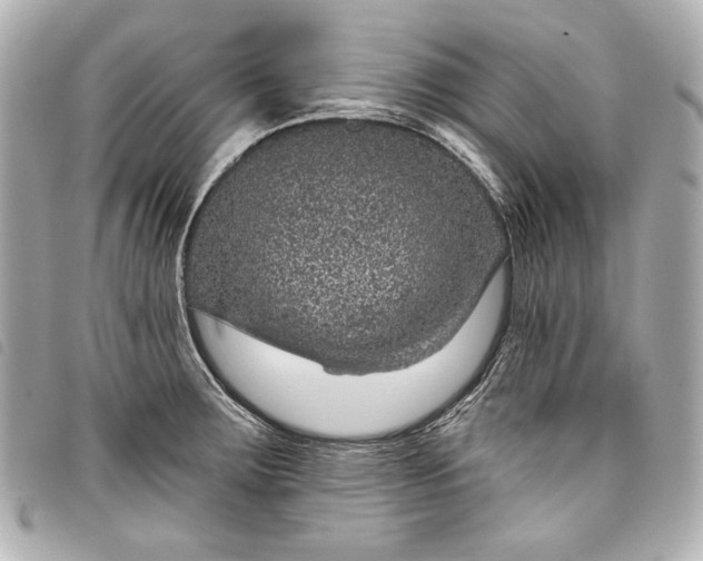 X0000098091283200804181225
