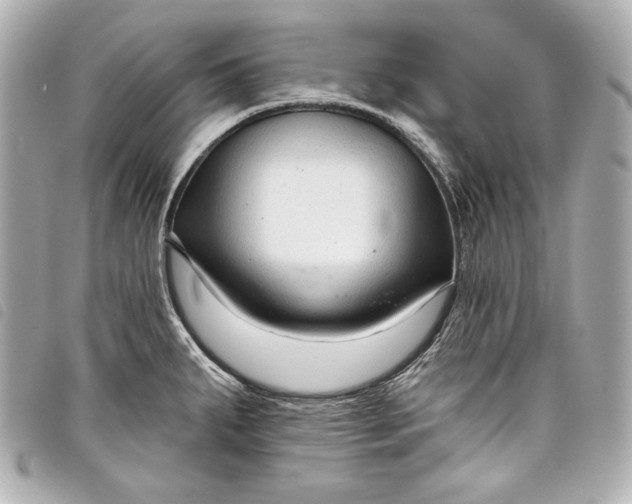 X0000098091287200804181225