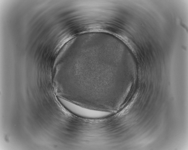 X0000098091289200804181225