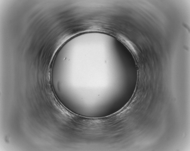 X0000098091292200804181225