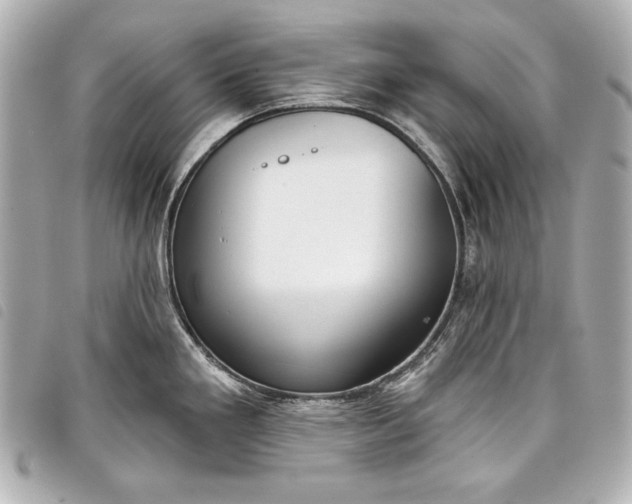 X0000098091293200804181225
