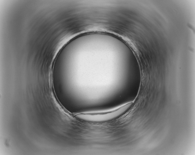 X0000098091295200804181225