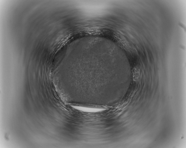 X0000098091298200804181224