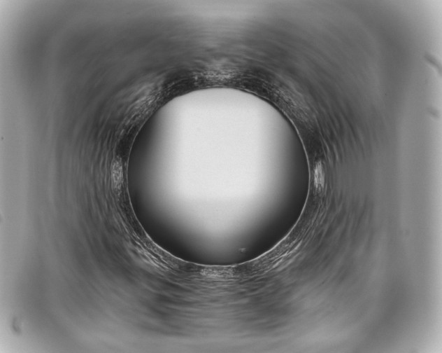 X0000098091299200804181224