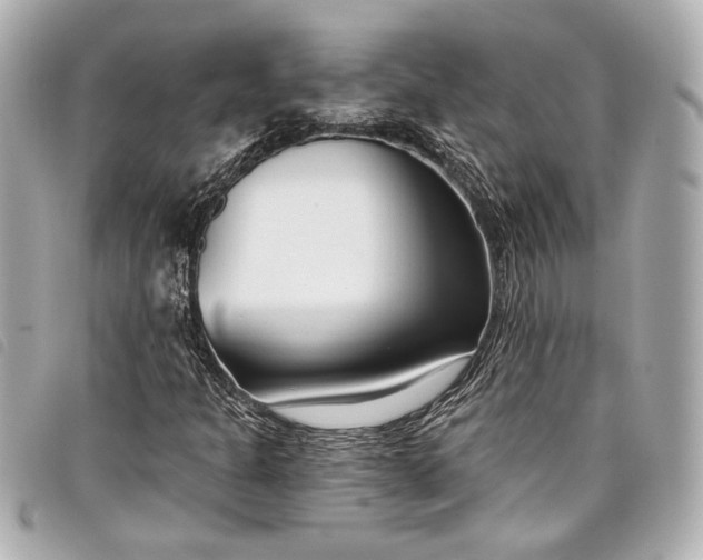 X0000098091301200804181224