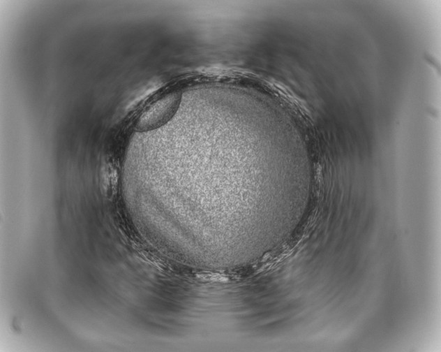 X0000098091302200804181224