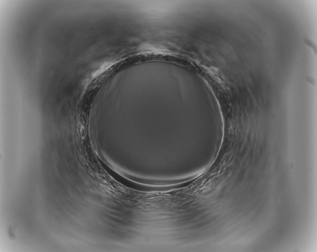 X0000098091303200804181224