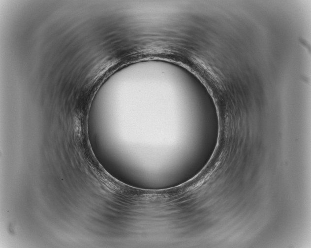 X0000098091305200804181224