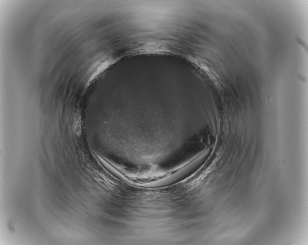 X0000098091306200804181225