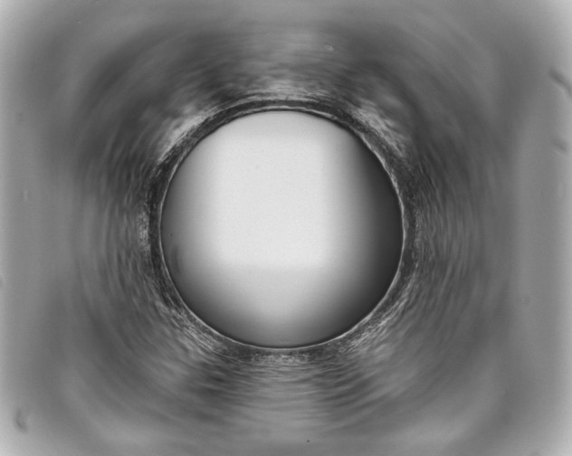X0000098091307200804181225
