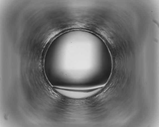 X0000098091308200804181225