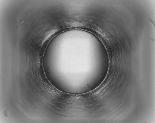 X0000098091309200804181225