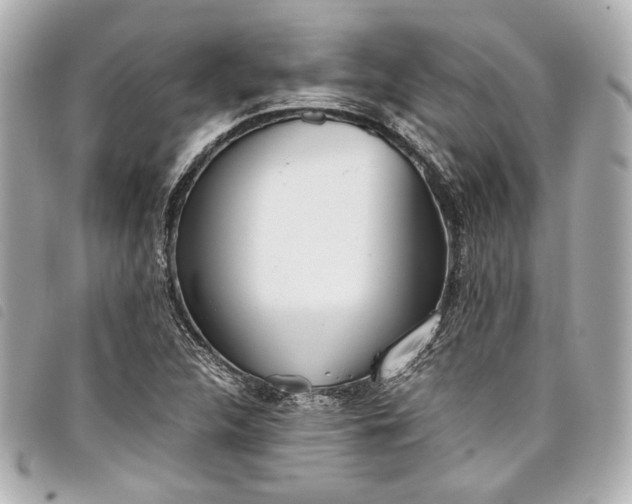 X0000098091312200804181225