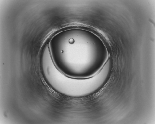 X0000098091318200804181225