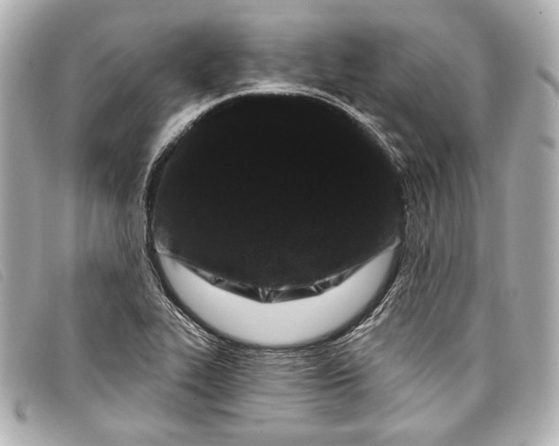X0000098091319200804181225